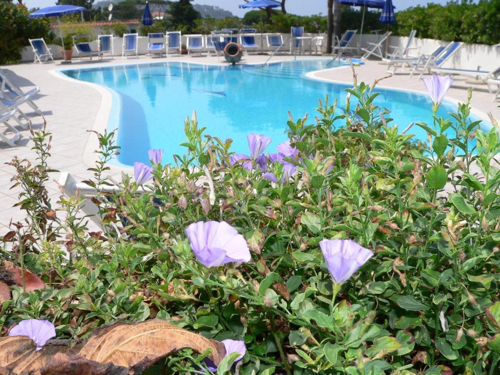 Hotel Parco Conte Casamicciola Terme Exteriör bild